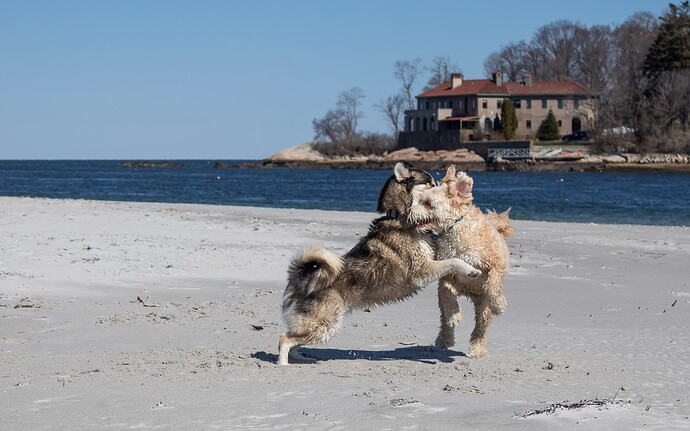 Wingaersheek Beach, Mass-4