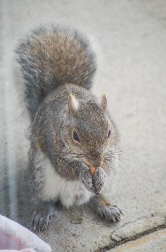 DSC_0078.jpg