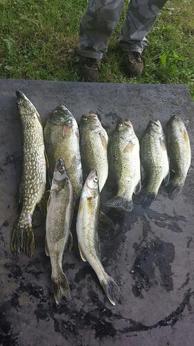 2015061395182104.jpg