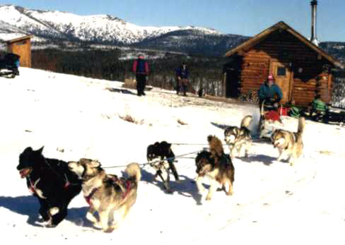 Shirley&Dogmushing.jpg