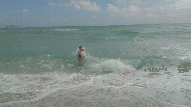 VID_20201212_112525423-ANIMATION