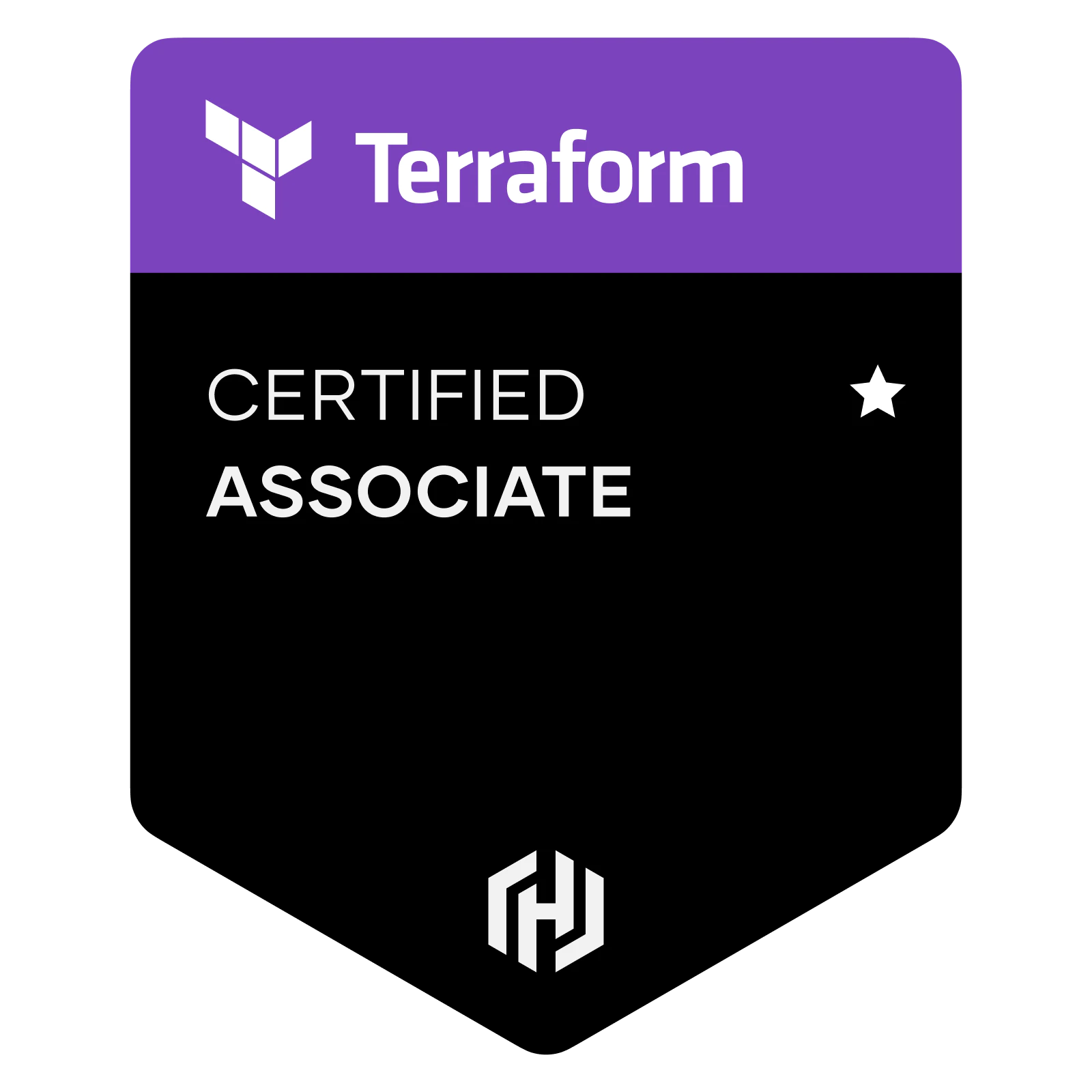 Hashicorp terraform. HASHICORP Terraform Associate Certification. Terraform с нуля до сертифицированного профессионала. Terraform.