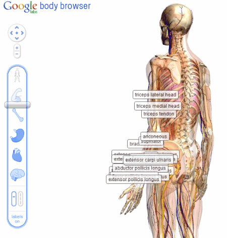body-browser-20101216105803.jpg