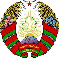 Belarus_COA.svg_.jpg