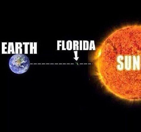 fb16726f5926a79ff42eca7fef5197b0--florida-funny-florida-humor.jpg