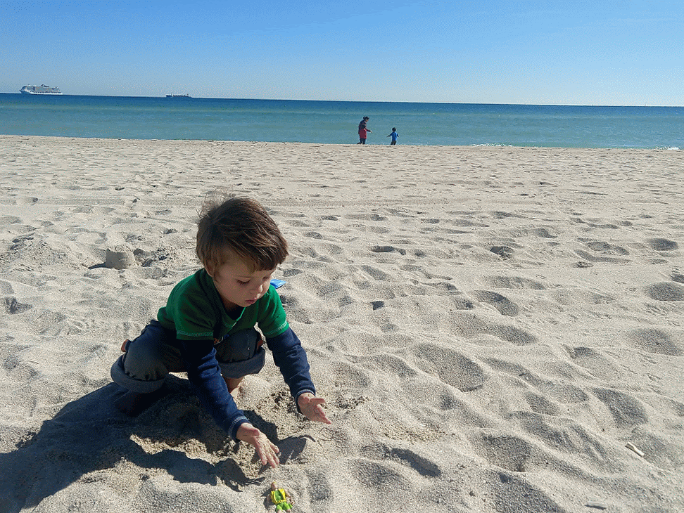 IMG_20201209_113239723-ANIMATION