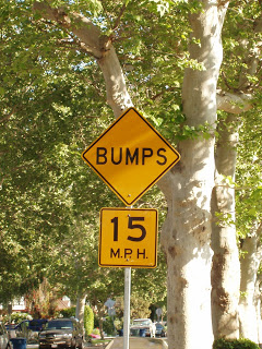 Bumps 15mph.jpg